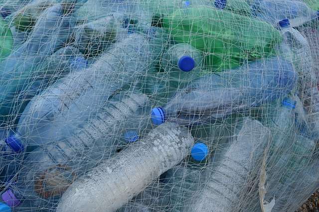 Temps pour la Création : Clean collect dimanche 17 septembre (54)
