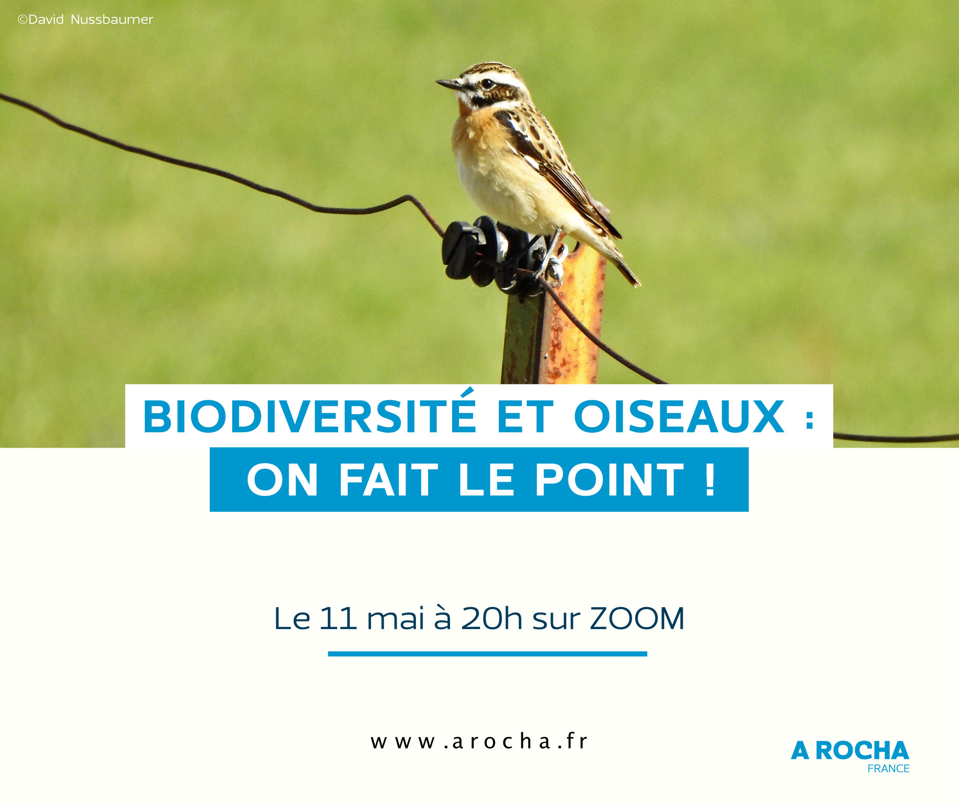 Webinaire Biodiversité et oiseaux