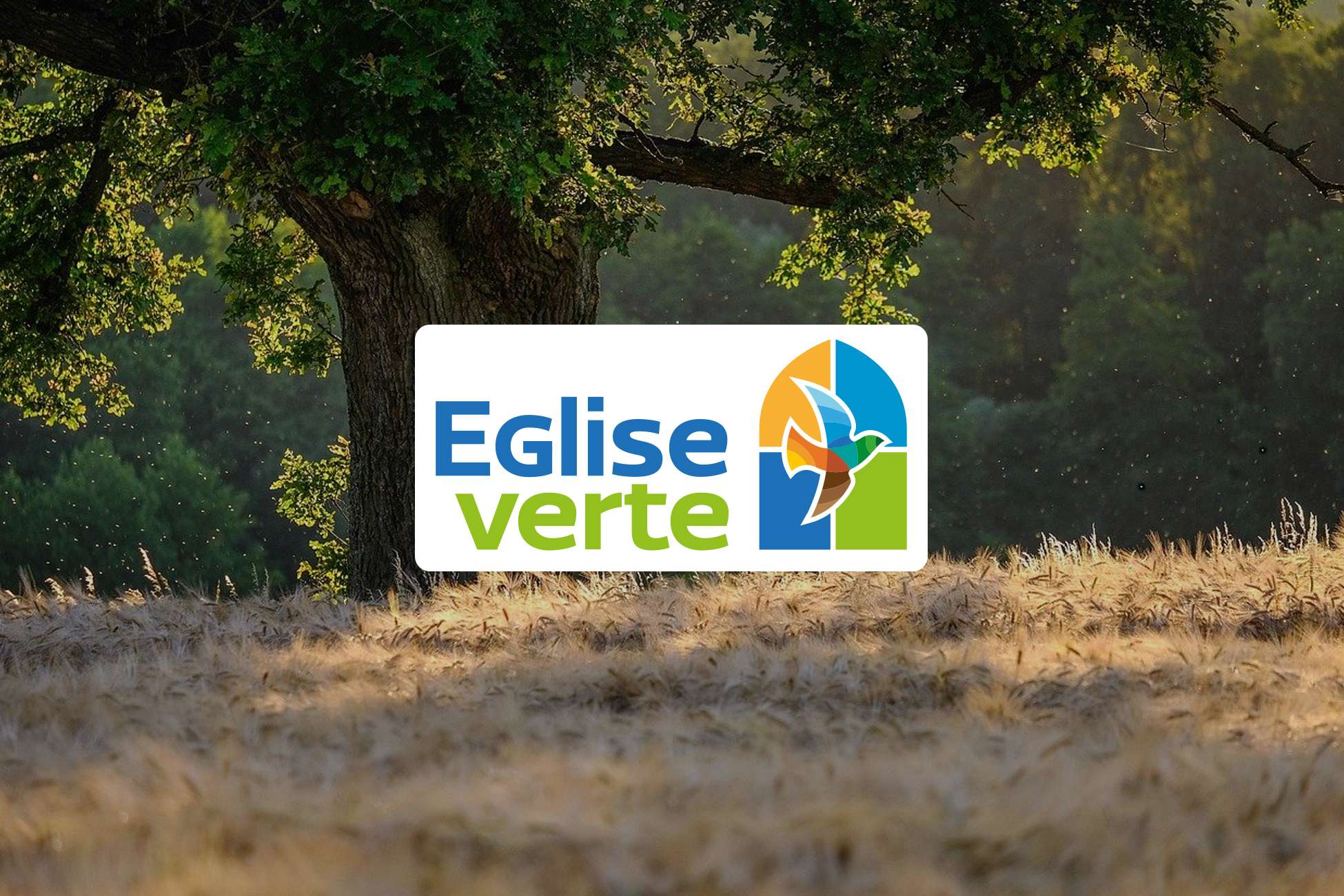 Un nouveau site pour Église verte