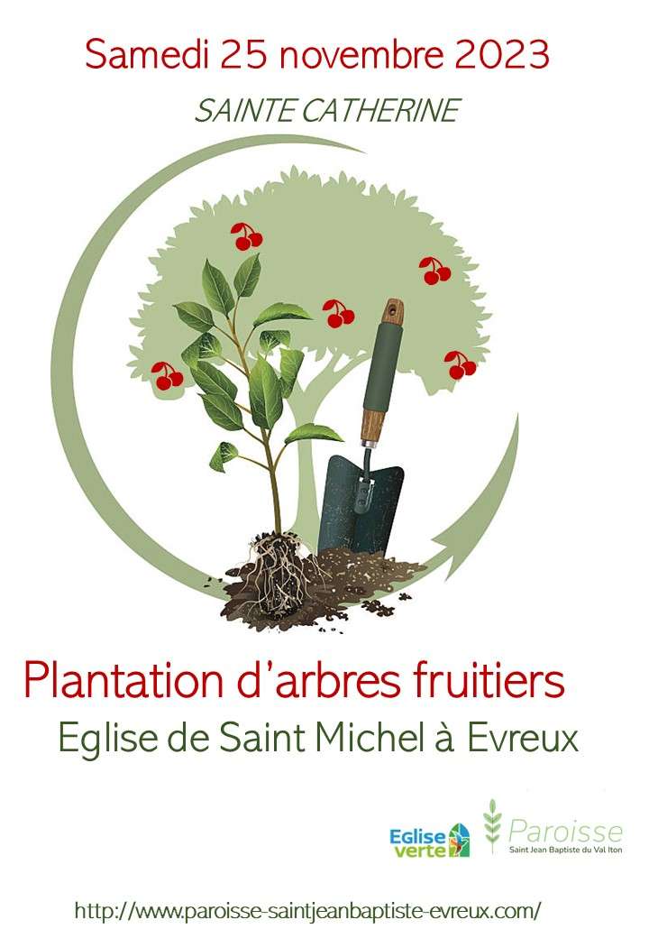 Plantation d'arbres fruitiers à la Sainte Catherine (27)