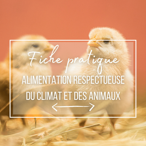 Sortie d'une nouvelle fiche pratique