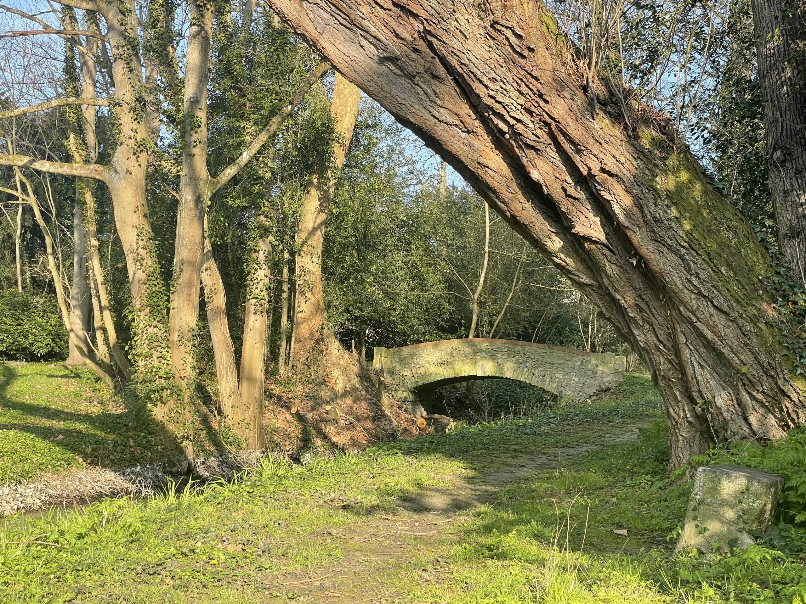 Session nature et vie spirituelle - Accueillir le vivant et nous laisser guider par lui