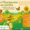 Vers l'harmonie au jardin