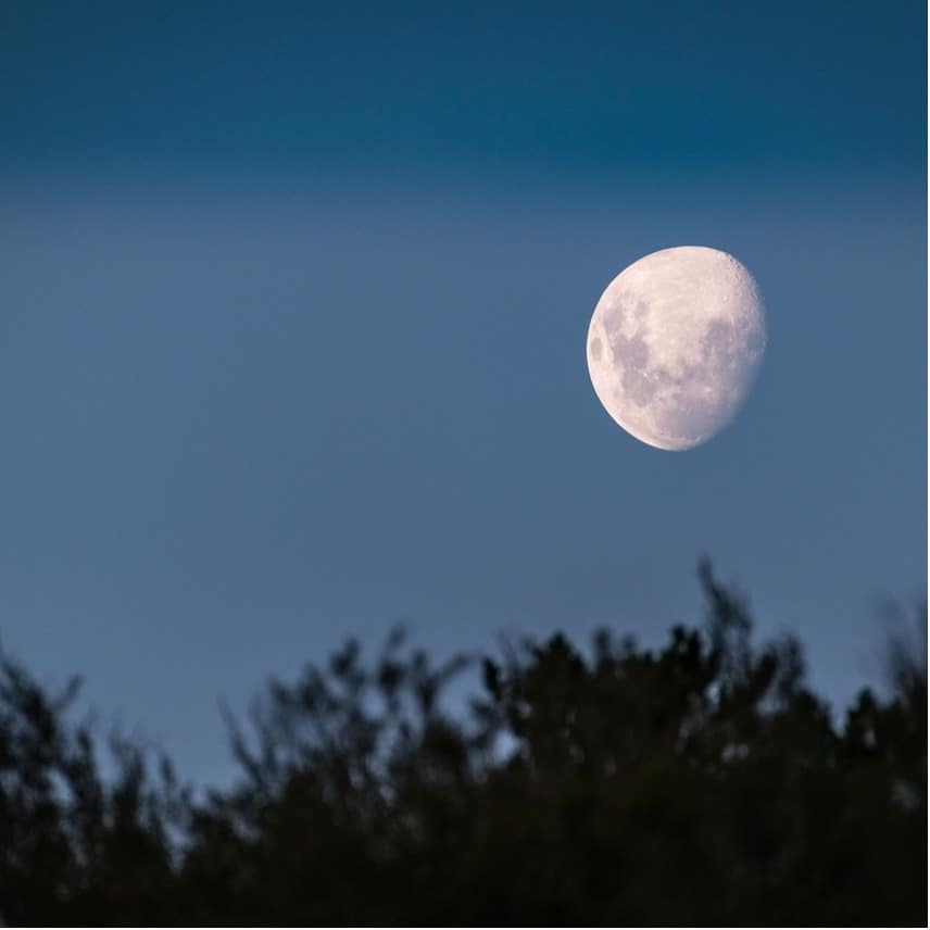 Séjour Monde nocturne - Des chouettes et des étoiles…
