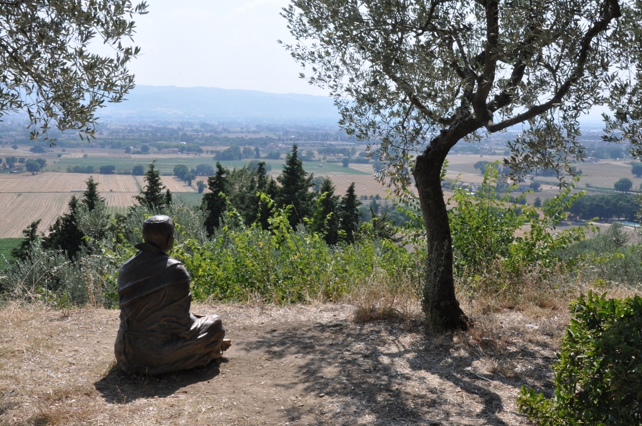 LAUDATO SI' ET TRAVAIL QUI RELIE - DANS LES PAS DE FRANÇOIS