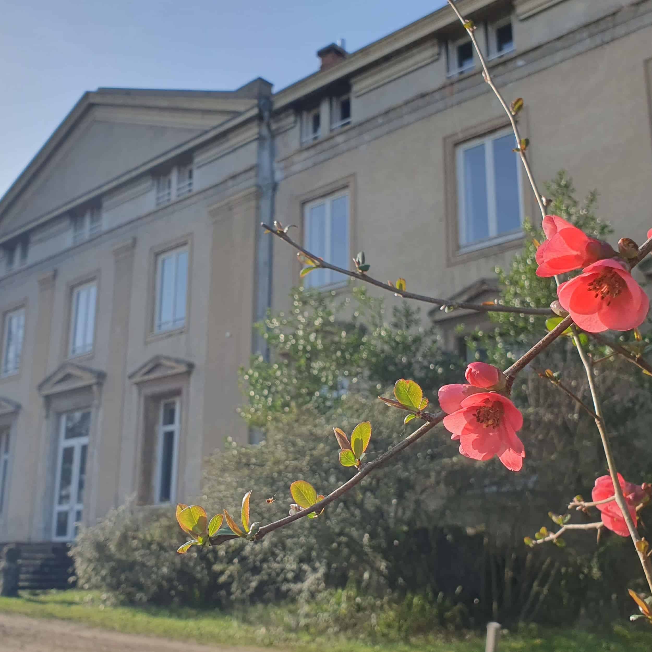 Retraite Laudato Si’ et Exercices spirituels