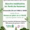 Marche méditative en forêt de Raismes