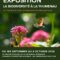 Exposition photo : la biodiversité à la Thumenau