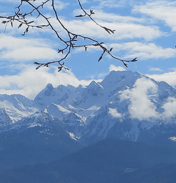 Mes pratiques quotidiennes à la lumière de Laudato Si